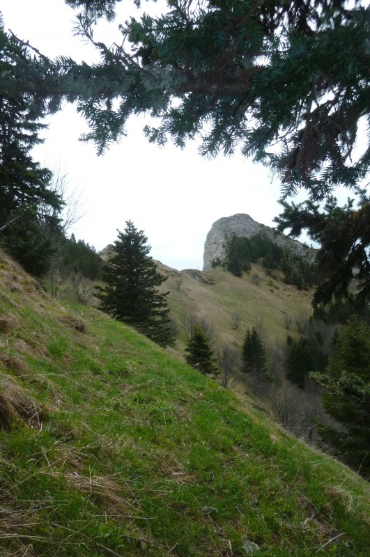 #5 Col de l Col de l'Aigle : très sauvage .