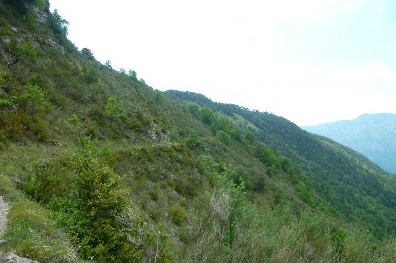 #7 En traversée : superbe ! En traversée : superbe !