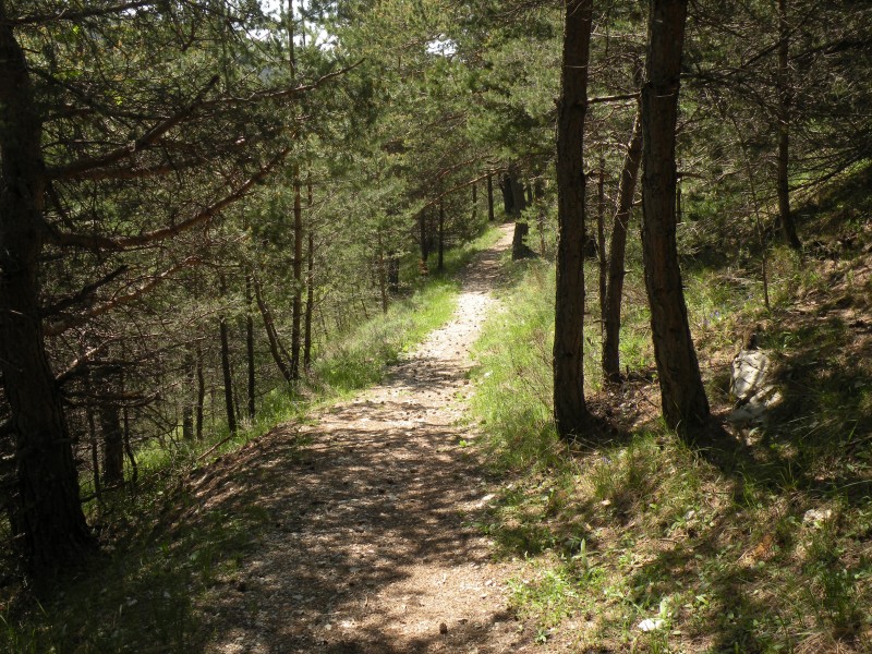 #4 Photo4 : Le sentier qui descend du col st Antoine est bien roulant Photo4 : Le sentier qui descend du col st Antoine est bien roulant
