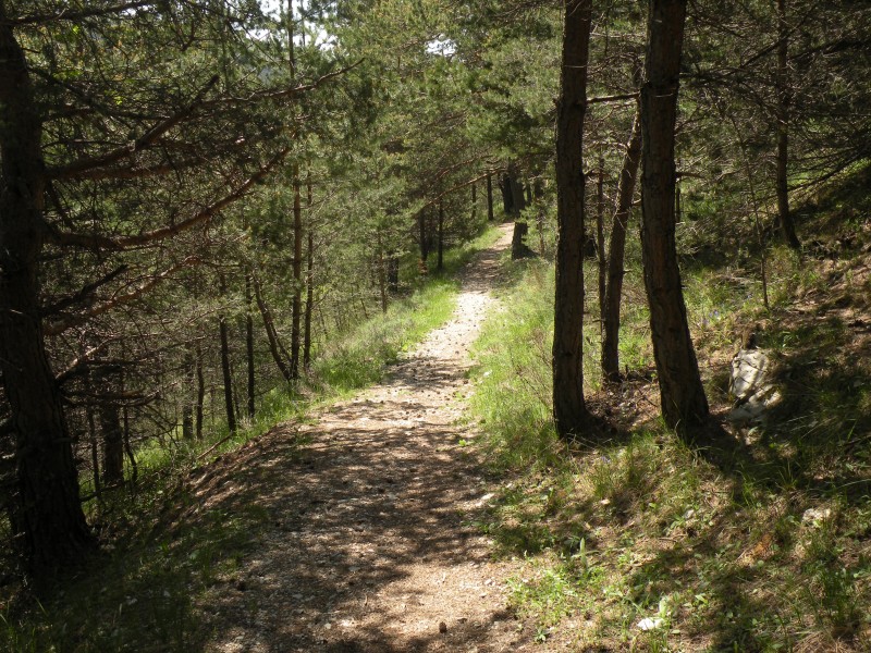 Photo4 : Le sentier qui descend du col st Antoine est bien roulant