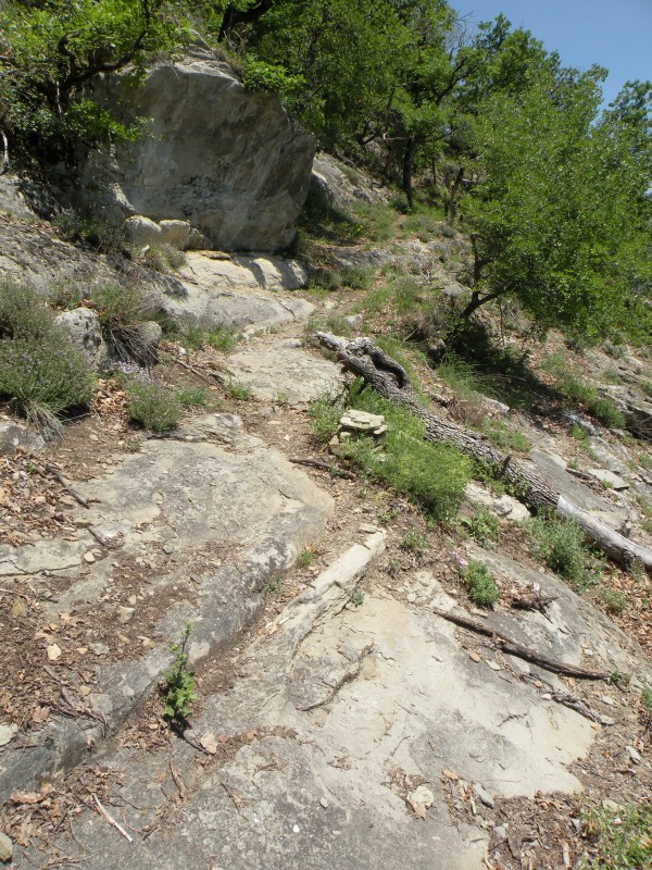 #11 photo11 : le sentier passe sur des dalles lisses photo11 : le sentier passe sur des dalles lisses