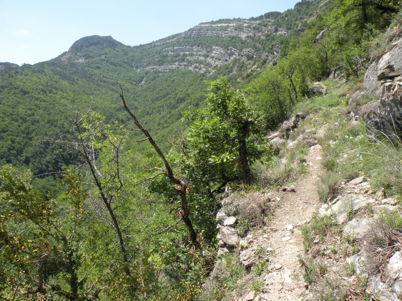 photo9 : Montée à la chapelle St Jean