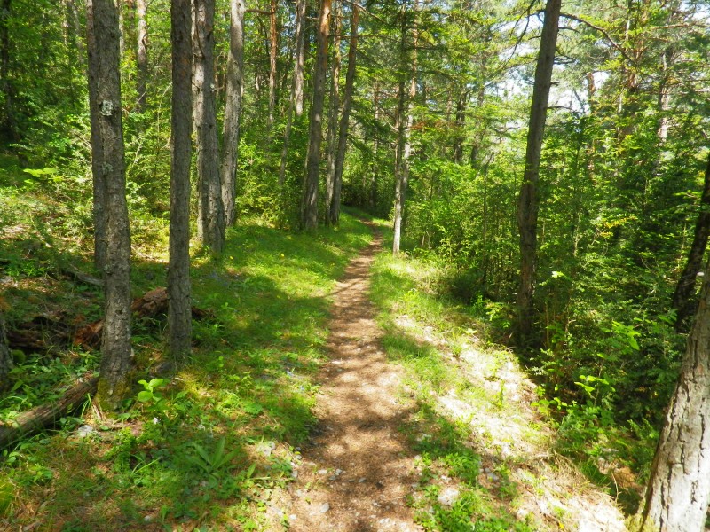 #11 la lare : bonne gavade en sous bois la lare : bonne gavade en sous bois