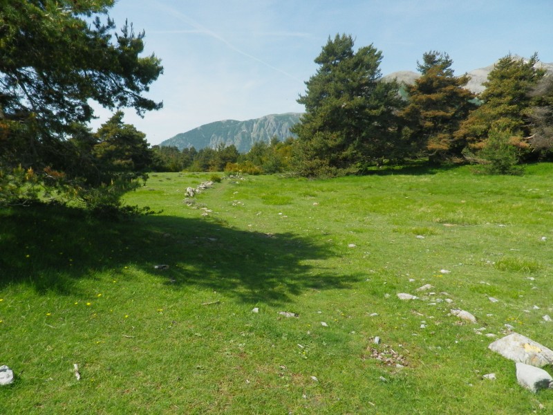 #3 la lare : une belle prairie la lare : une belle prairie