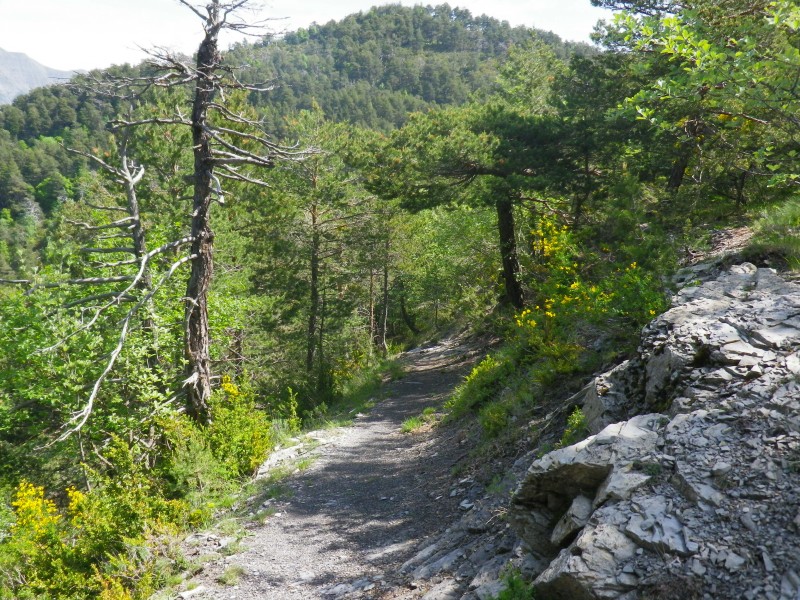 #6 la lare : une belle descente... la lare : une belle descente...