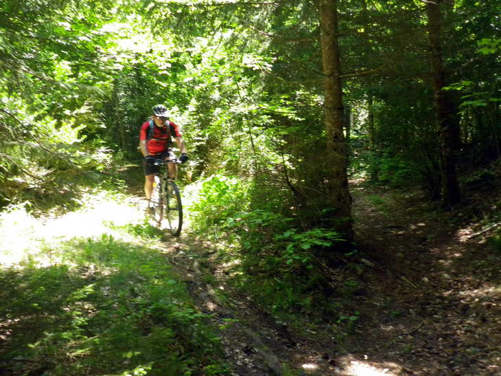 #14 Un peu de broussaille : Retour vers le départ par un enchainement de piste et singles ombragés Un peu de broussaille : Retour vers le départ par un enchainement de piste et singles ombragés
