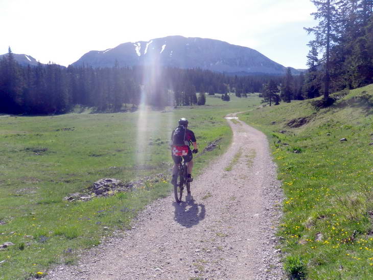 #1 Grand Veymont : Il est omniprésent par ici! Grand Veymont : Il est omniprésent par ici!