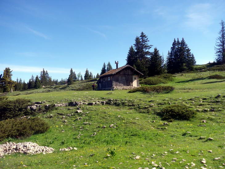 #3 Cabane de Gerland : La cabane pas au Canada pas au fond des bois pas d Cabane de Gerland : La cabane pas au Canada pas au fond des bois pas d'écureuil etc...