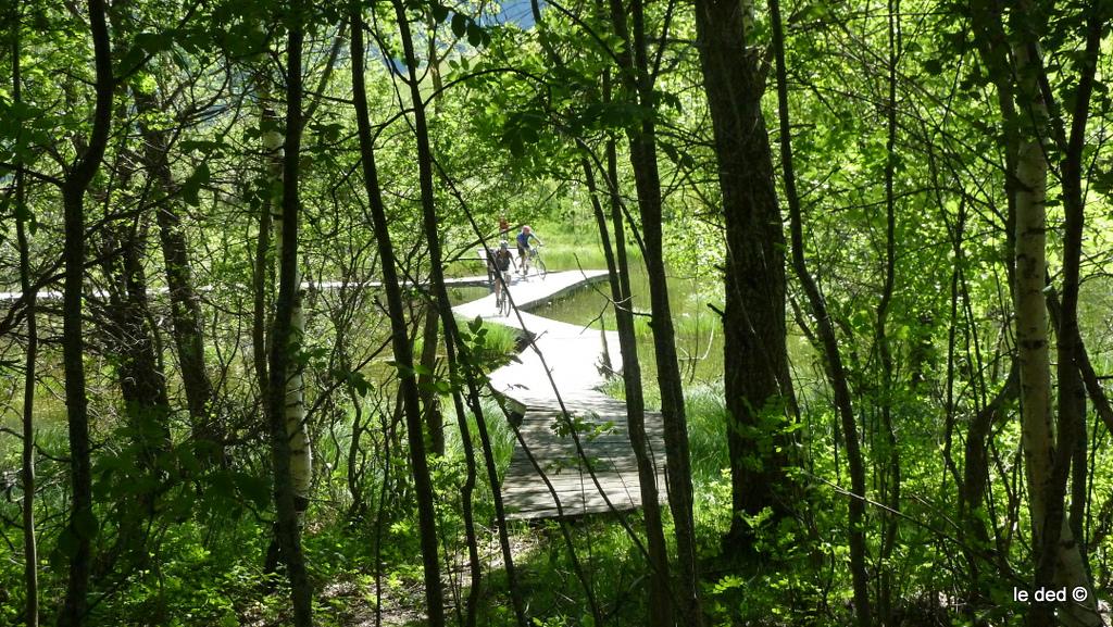 lac de Lovitel : jeu d'eau et pontons associés