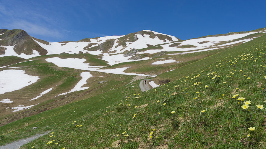 Vers le Chalet des Veaux : On a pas pris les skis