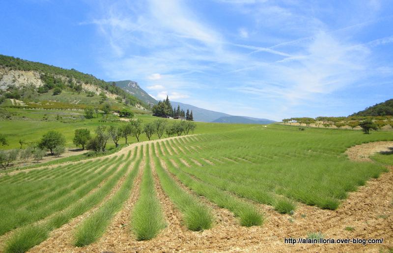 Arrivée : à Piocel