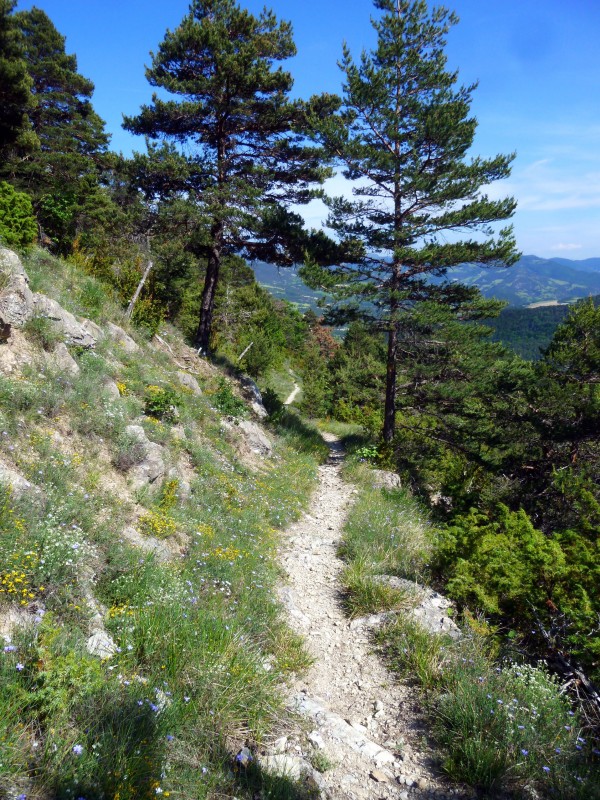 #15 Les Pradeaux : début du très ludique single Les Pradeaux : début du très ludique single
