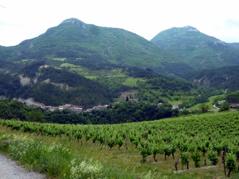 St Benoît : fin de cet excellent parcours dans les vignes de St Benoît en Diois Tchin !