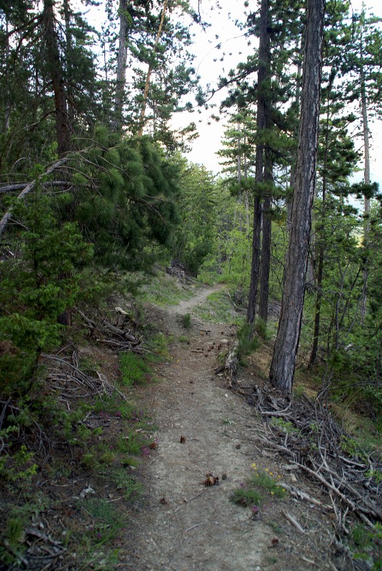#22 Fin de la descente : mort bon jusqu Fin de la descente : mort bon jusqu'au bout!