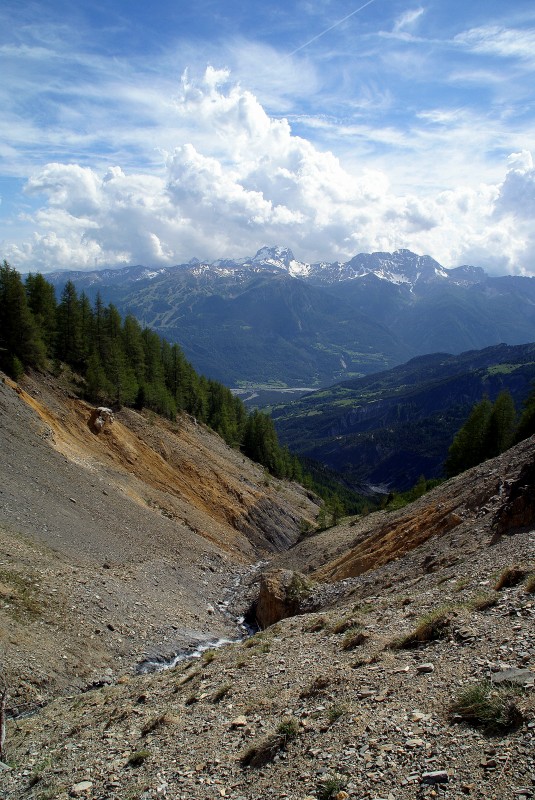 #15 Ravine : sous le sentier horizontal Ravine : sous le sentier horizontal