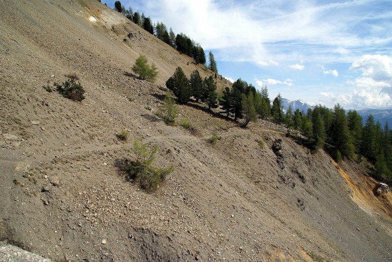 Sentier horizontal : ça commençait pourtant plutôt bien