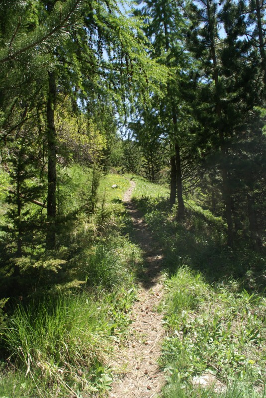 Refuge de la Pare : Le magnifique sentier de montée