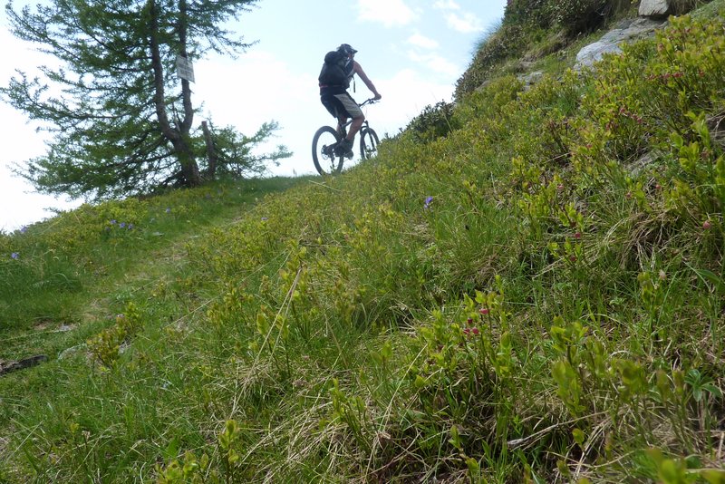 #12 Autoportrait de mon postérieur : Ca roule Autoportrait de mon postérieur : Ca roule