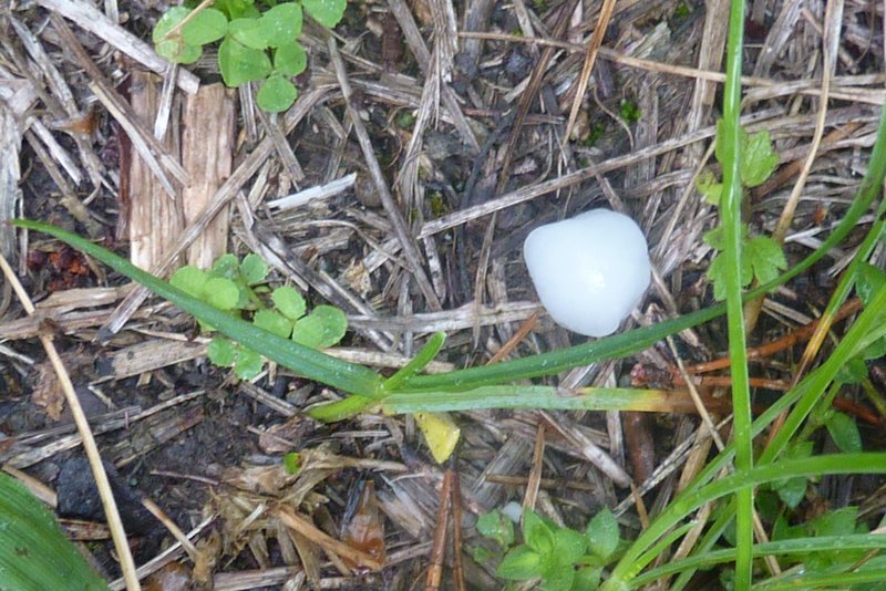 #5 Grélon : Au moins 5 mm d Grélon : Au moins 5 mm d'épaisseur