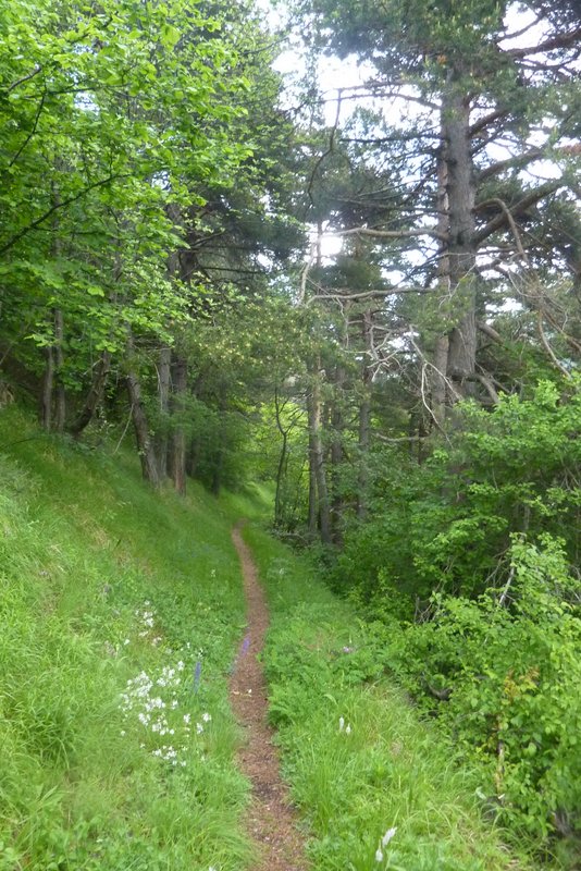 #4 Vallon du Réfréi : Ça roule à nouveau Vallon du Réfréi : Ça roule à nouveau