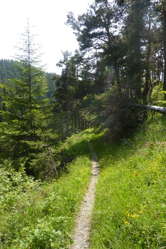 #26 Les Fraches : Je n Les Fraches : Je n'ai pris des photos que là où ça ne secouait pas trop !