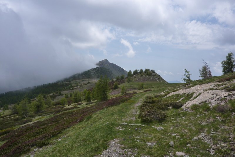 #22 Cime Missoun : Je m Cime Missoun : Je m'en rapproche et annonce une remontée