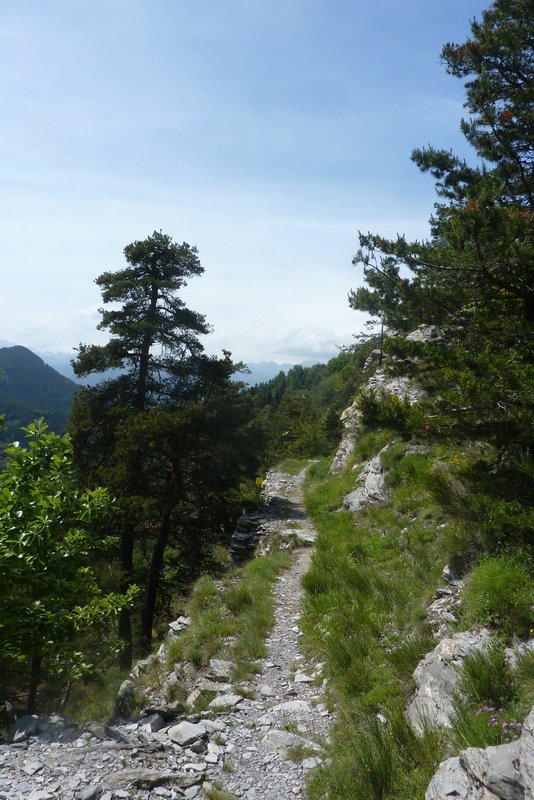 #27 Les Fraches : Un peu d Les Fraches : Un peu d'expo