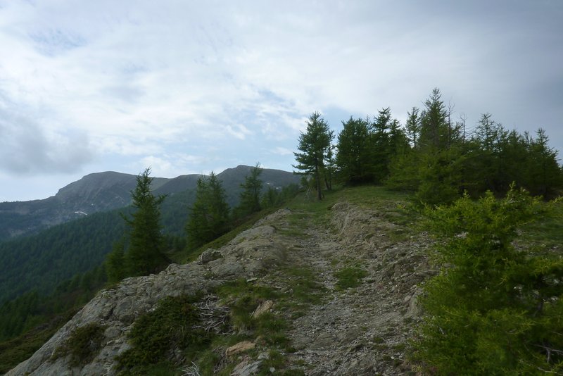 #11 Crêtes : Au fond le Mont Bertrand Crêtes : Au fond le Mont Bertrand