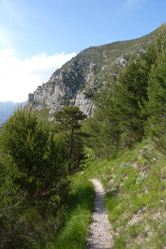 #29 Génial ce sentier : Un vrai régal Génial ce sentier : Un vrai régal