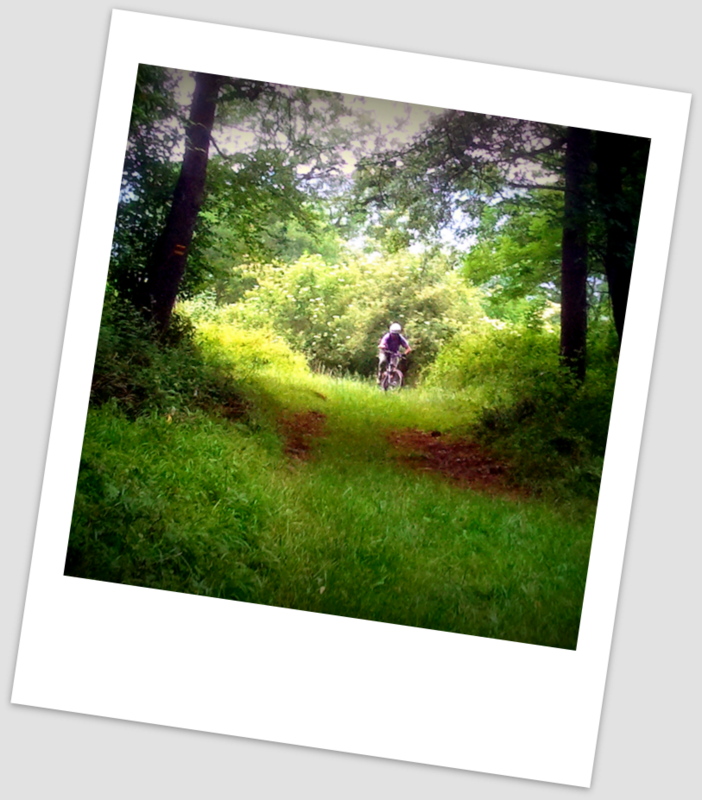 #5 photo 5 : Fin de la bavante de Girosp pour monter aux prés de Gèle. photo 5 : Fin de la bavante de Girosp pour monter aux prés de Gèle.