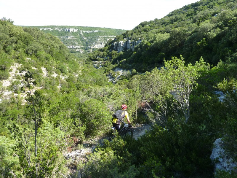 #3 Vallon sauvage : Milieu du sentier de la Signore Vallon sauvage : Milieu du sentier de la Signore