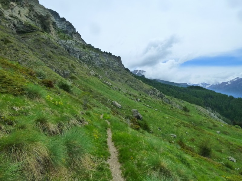 #6 GR50 : sublime traversée dégagée GR50 : sublime traversée dégagée