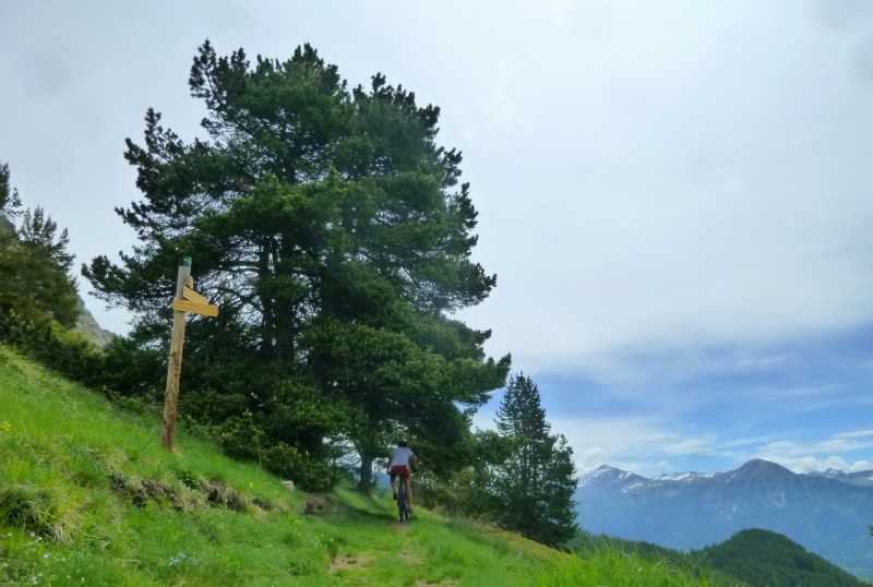 #5 GR50 : A la bifurcation de Champ Fourrier GR50 : A la bifurcation de Champ Fourrier
