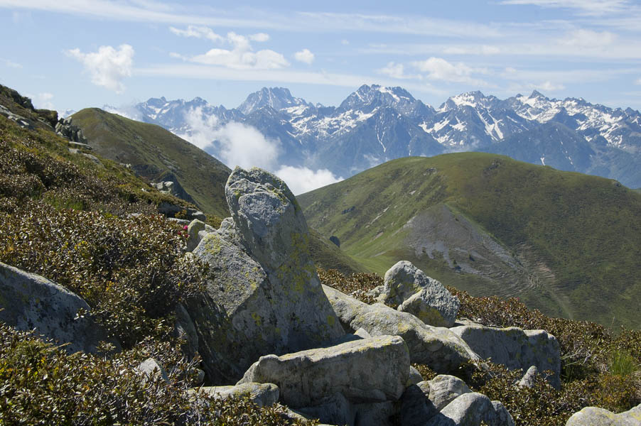 #20 Curnis Auta : Du colle Viribianc, vue sur le massif du mercantour/Argentera Curnis Auta : Du colle Viribianc, vue sur le massif du mercantour/Argentera