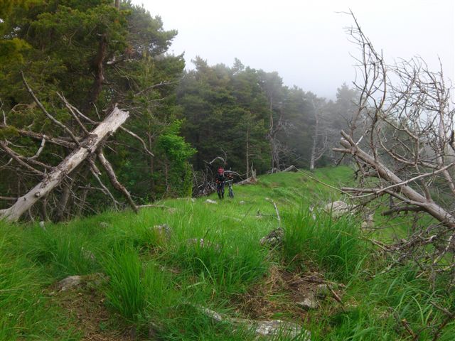 en montee sur la cretes de la : Lorenzo en montee sur la cretes de la Mandine