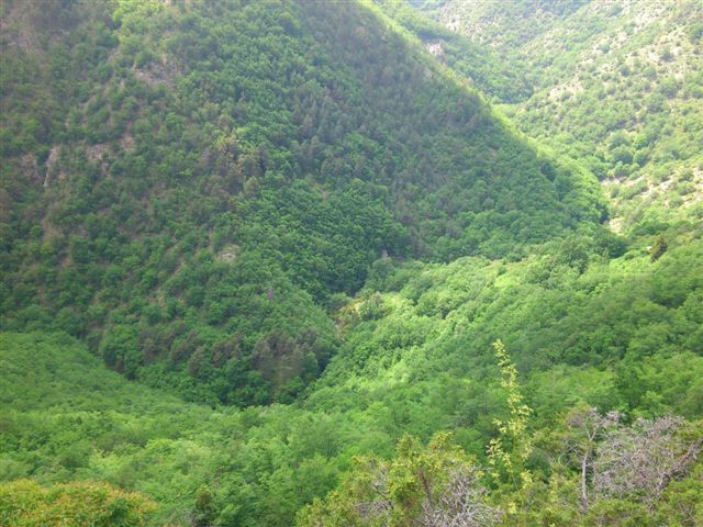 le vallon de Giou