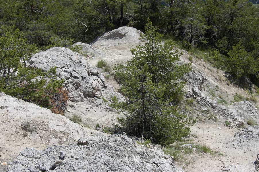 Mont Vin Vert : Sentier sous Case Baumas