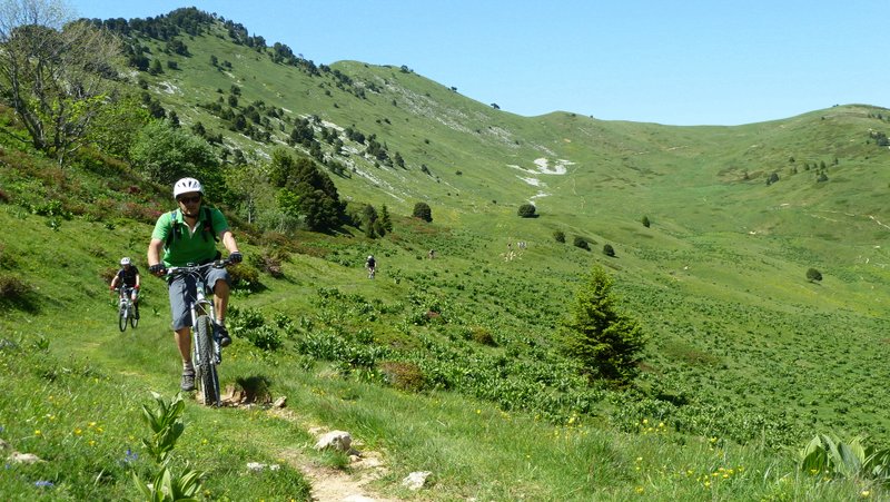 #54 Toujours verte : La Chartreuse est verte, c Toujours verte : La Chartreuse est verte, c'est sûr. Quelle idée ont eu les moinillons avec la jaune ;-)