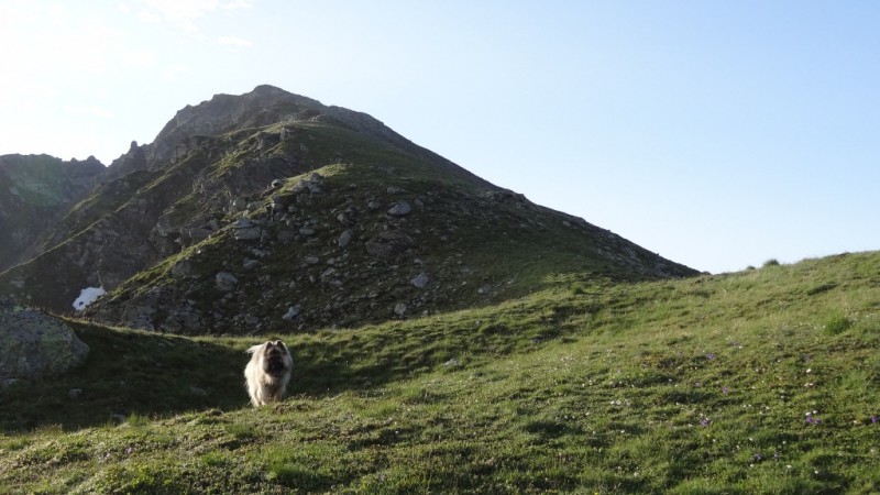 #7 En regardant le sommet : L En regardant le sommet : L'arête est assez bonne au début, mais la fin devient belledonnesque (Tas de cailloux non roulable)