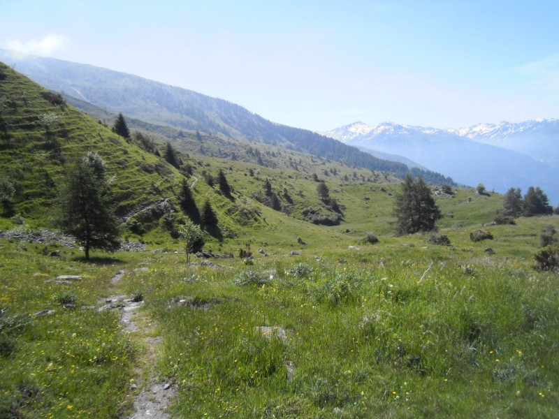 Sentier en balcon : la vue d'ensemble un peu avant la fin.