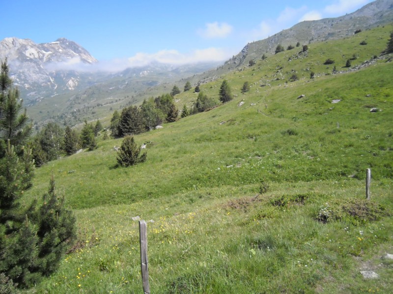 Sentier en Balcon : La vue à la sortie de la forêt