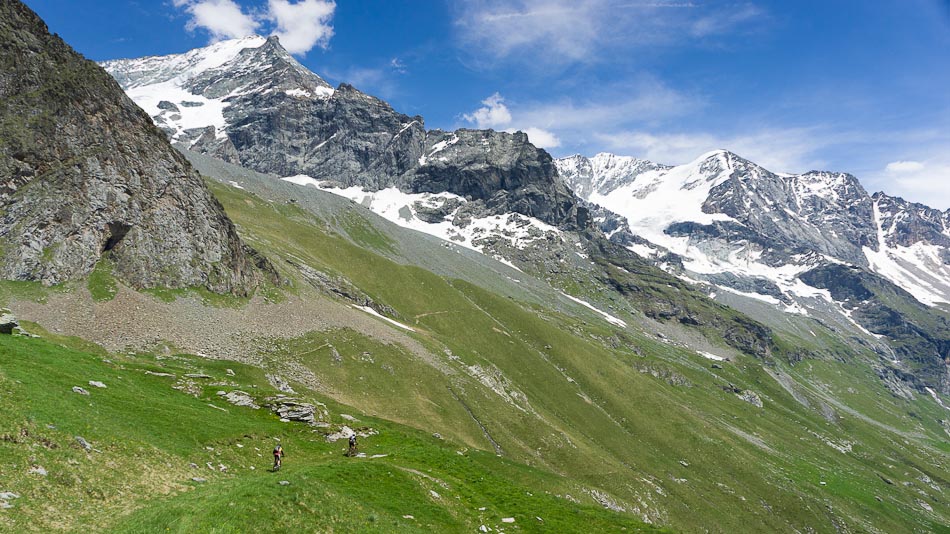 #17 Mont Pourri : et Dome de la Sache Mont Pourri : et Dome de la Sache
