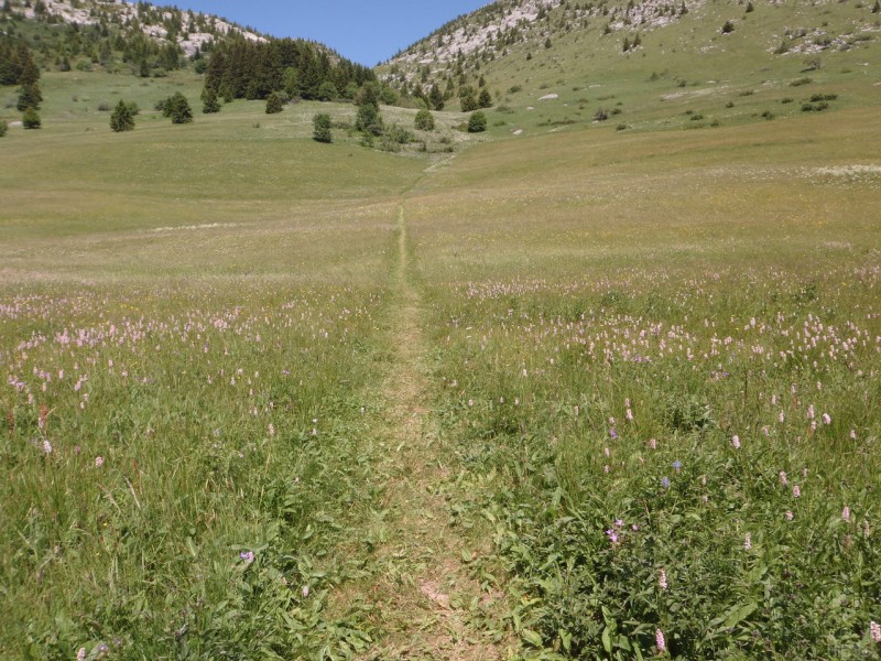 #10 Andey : Les derniers tours de pédale avant le portage Andey : Les derniers tours de pédale avant le portage