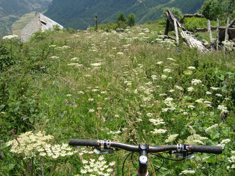 #9 Tête des Raisins : si si, je suis sur le chemin aux Garcines... Tête des Raisins : si si, je suis sur le chemin aux Garcines...