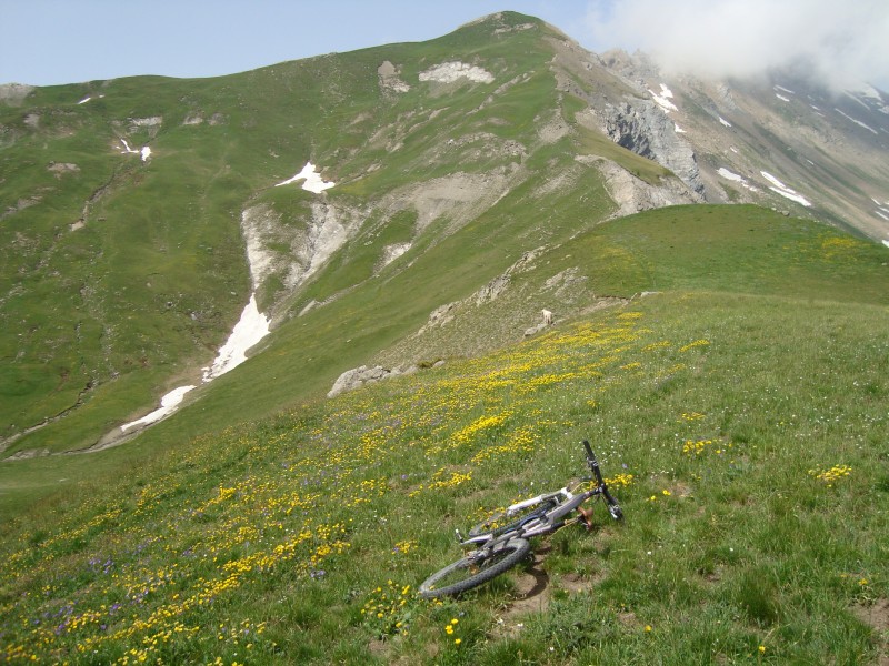 #3 Tête des Raisins : sur la croupe de la Lauzière, plus que 300m!!! Tête des Raisins : sur la croupe de la Lauzière, plus que 300m!!!