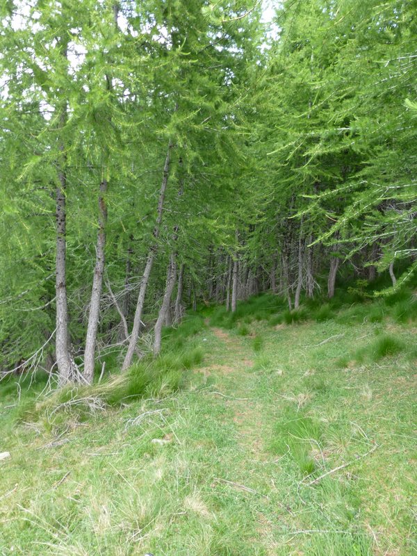 Sentier de la Marre : Départ en sous-bois