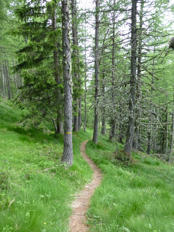 Sentier de la Marre : Entre deux épingles (ça c'est au tout début, car après plus le temps de sortir l'APN tant ça enchaine !)