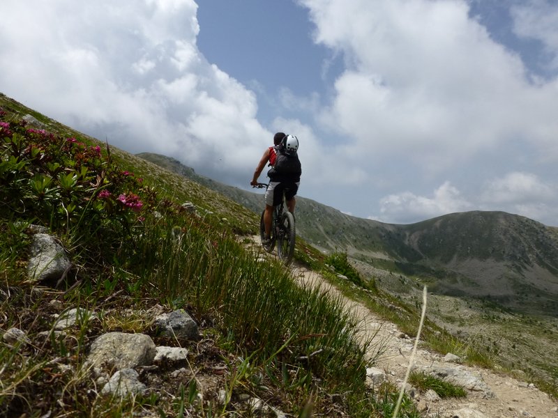 Ca roule un peu : Presque que pour la photo... disons que ça roule sur env. 300 m