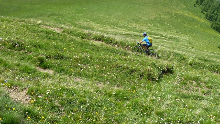 #21 Perdu dans le vert : Le chemin est à peine marqué mais toujours vert! Perdu dans le vert : Le chemin est à peine marqué mais toujours vert!