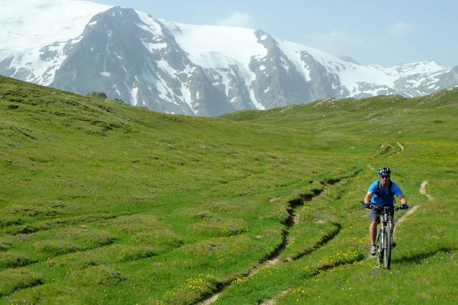 Retour au col du Souchet : Tout est roulant dans l'alpage d'Emparis